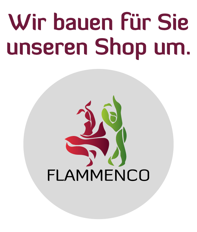 _wpframe_custom/gallery/files/wpf_sitemanager/t_flammenco_umbau_vordergrund_12-22png_1670938222.png